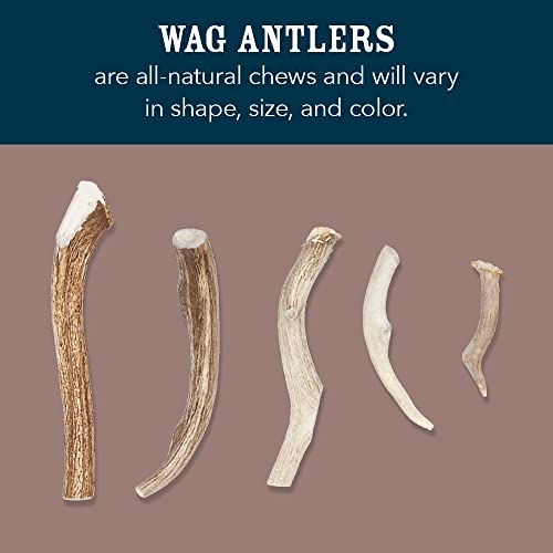 Brand - Wag Split Elk Antler, Naturally Shed, Long Lasting for Aggressive Chewers, Medium (Best for Dogs 15-30 lbs)