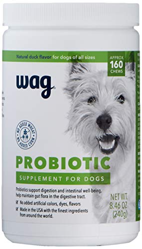 Brand - Wag Probiotic Supplement Chews for Dogs, Supports Digestive Health and Gut Flora, Natural Duck Flavor, 160 Count, Pack of 1