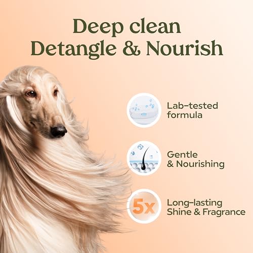 PAWFUME Deshedding Dog Shampoo and Conditioner, Show Dog, 1-Pack – Nourish & Detangle for Silky Soft Coat – Probiotic, Deep-Cleaning, pH-Balanced