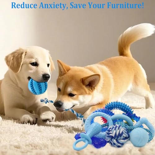 Beiker 20 Pack Puppy Chew Toys - Blue Dog Teething Toys for Puppies, Puppy Teething Rings and Ropes, Rubber Toy Bundle for Small Dogs, Cute