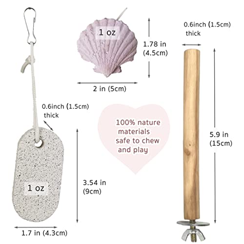 Parrot Chewing Toys (6 pcs) Natural Cuttlebone Bird Beak Trimmer Grinding Stone Lava Block Calcium Stone Bird Perch Cage Toys for Small and Medium