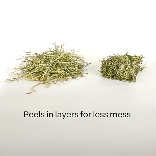 Kaytee Wafer Cut All Natural Timothy Hay for Pet Guinea Pigs, Rabbits & Other Small Animals, 60 Ounce