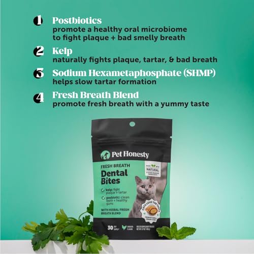 Fresh Breath Dental Bites for Cats – Crunchy & Creamy Cat Dental Treats for Fresh Breath, Tartar & Plaque Control – Dual-Texture Cat Oral Care Bites