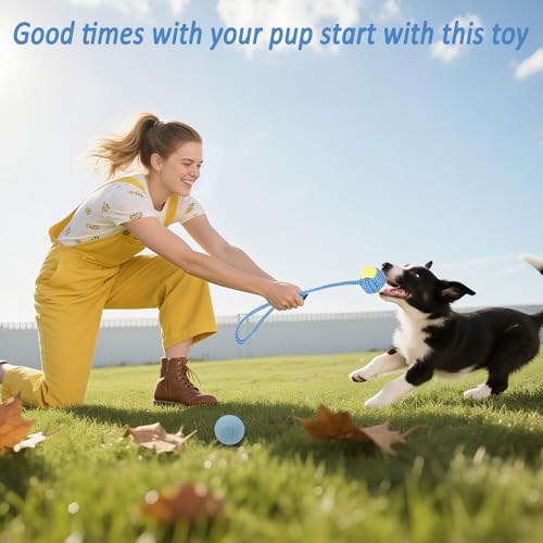 Beiker 20 Pack Puppy Chew Toys - Blue Dog Teething Toys for Puppies, Puppy Teething Rings and Ropes, Rubber Toy Bundle for Small Dogs, Cute