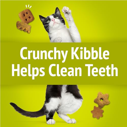 Purina Friskies Party Mix Morning Munch Crunch Egg, Bacon and Cheese Flavors Cat Treats - 30 oz Canister