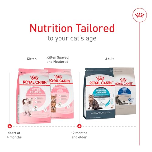 Royal Canin Feline Health Nutrition Kitten Dry Cat Food, 7 lb Bag
