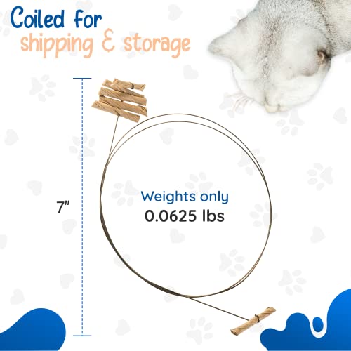 Cat Dancer Interactive Cat Toy - Fun and Fitness for Your Furry Friend - Engaging Paper Roll Attached with 30 Inches Flexible Spring Steel Wire for