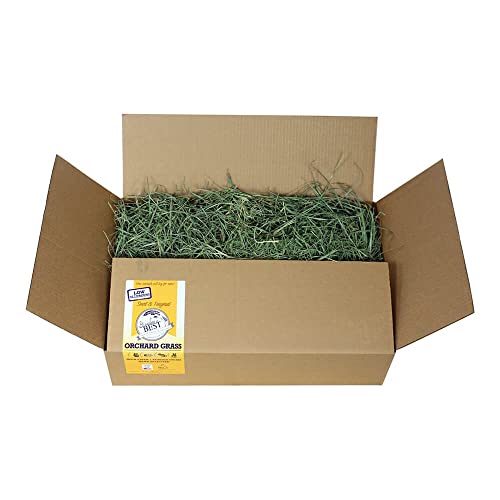 Grandpa's Best Premium Orchard Grass Hay for Rabbits, Guinea Pigs, Chinchillas, Hamsters & Gerbils, 20lb Loose Boxed, Brown