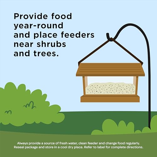 Kaytee Ultimate Birder's Blend Food, Wild Bird Seed For Grosbeaks, Cardinals, Nuthatches, Woodpeckers & More Outside Feeders, 10 Pound