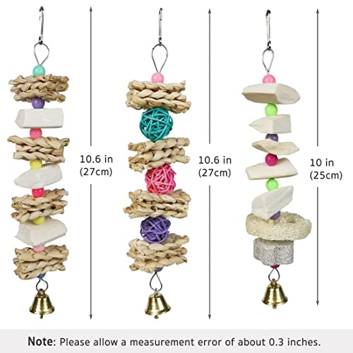 Parrot Chewing Toys (6 pcs) Natural Cuttlebone Bird Beak Trimmer Grinding Stone Lava Block Calcium Stone Bird Perch Cage Toys for Small and Medium