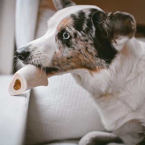 Cadet Stuffed Shin Bone, Long-Lasting Dog Chew Bones for Aggressive Chewers, High Protein Filled Bone Dental Chew for Dogs, Peanut Butter Flavor