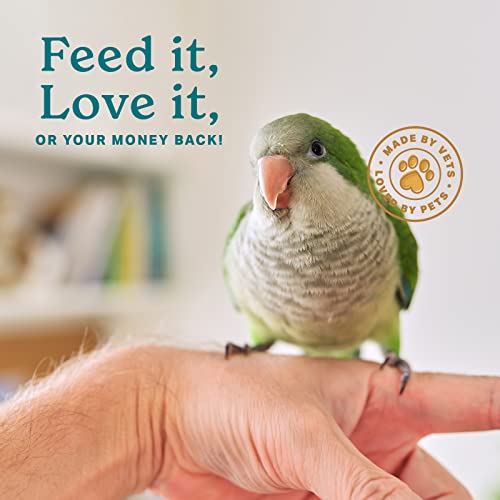 The Missing Link Avian Color & Shine Superfood Supplement Powder for Captive Birds - Flaxseed, Yucca, Kelp, Phytonutrients & Protein - Supports