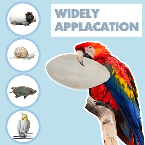 Jmxu's 3.5"-4" Cuttlebone for Birds Parakeets, Cuddle Bone with Metal Clip, Cuttlefish Bone for Sharp Beaks, Natural Birds Calcium for Parrots