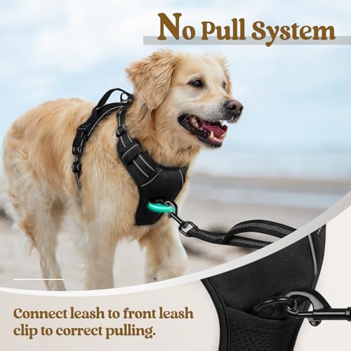 rabbitgoo Dog Harness No Pull with 2 Leash Clips, Adjustable Soft Padded, Reflective Oxford No Choke Pet Vest with Easy Control Handle for Large