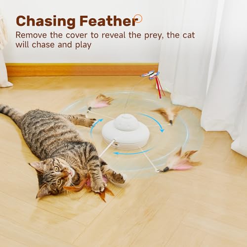 Potaroma Cat Toys Chargeable, 3in1 Hide and Seek, Automatic Interactive Fun, Fluttering Butterfly, Moving Feather, Kitten Wand, Indoor Kitty Exercise