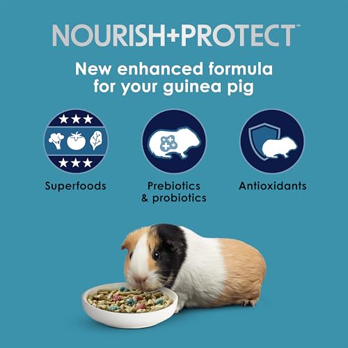 Kaytee Forti-Diet Pro Health Nourish+Protect Guinea Pig Food, Comprehensive Nutrition Backed by Science, Digestive Health, Immune Support, 5 pounds