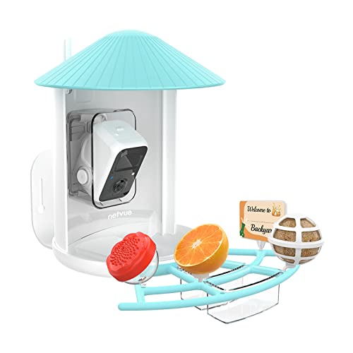 NETVUE by Birdfy Pro Perch - Wider Extension Perch to DIY Add-ons Including Suet Ball, Mini Hummingbird Feeder, Fruit Holder, Jelly Feeder and