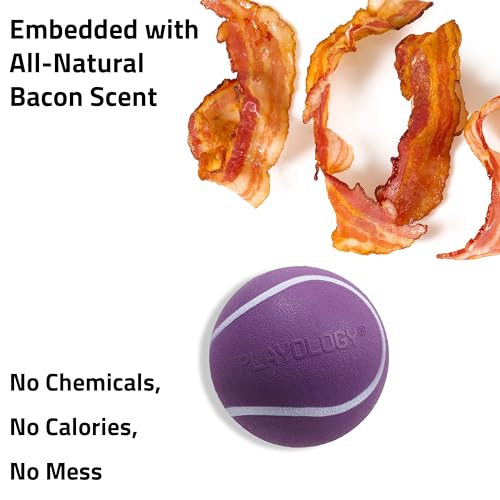Playology Dog Toys | Squeaky Chew Ball for Dogs, Value 3-Pack | Bacon Scented Small Dog Balls | Bouncy Floating Chew Toys for Fetch
