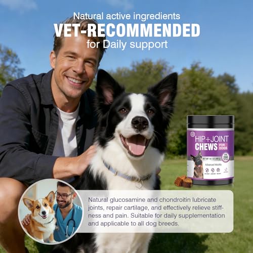 Glucosamine for Dogs 200pcs Joint Support Supplement Dog Hip and Joint Chondroitin Chews Treats with MSM Dog Joint Pain Relief Mobility Supplements