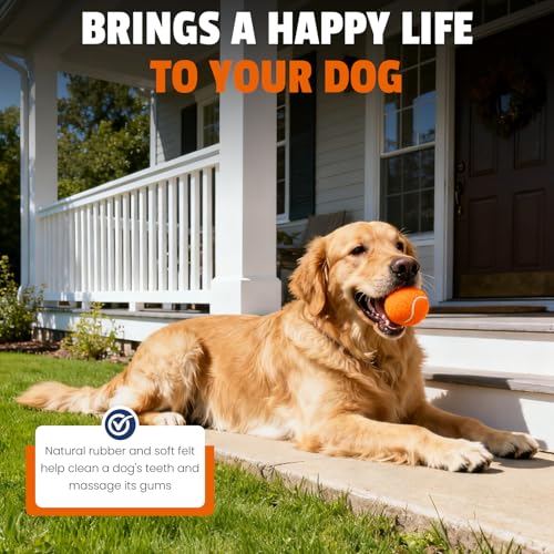 FURWEY Tennis Balls for Dogs 16 Pack,2.5 inches,Durable and Non-Toxic Dog Toys Balls with Mesh Bag,Colorful Fetch Toys Balls for pet Dog (Non Squeaky)