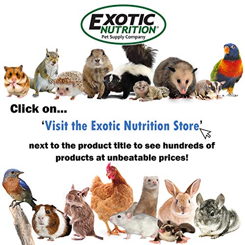 Exotic Nutrition Pasture Plus+ Dandelion Delicacy - Healthy Natural High-Fiber Dried Flower Treat - Guinea Pigs, Rabbits, Chinchillas, Prairie Dogs