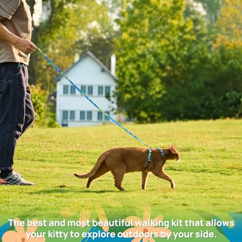 Cat Harness and Leash Set - Escape Proof Adjustable Cat Harness, Comfortable Soft Lightweight, Use Safe & Easy, Walking Travel Kitten Harness for