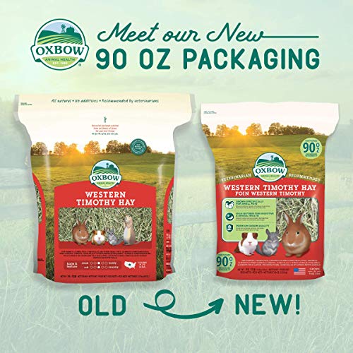 Oxbow Western Timothy Hay, Guinea Pig Hay, Small Pet Bunny Supplies, All Natural Grass for Guinea Pig, Bunny, Chinchilla & Hamster, Oxbow Rabbit
