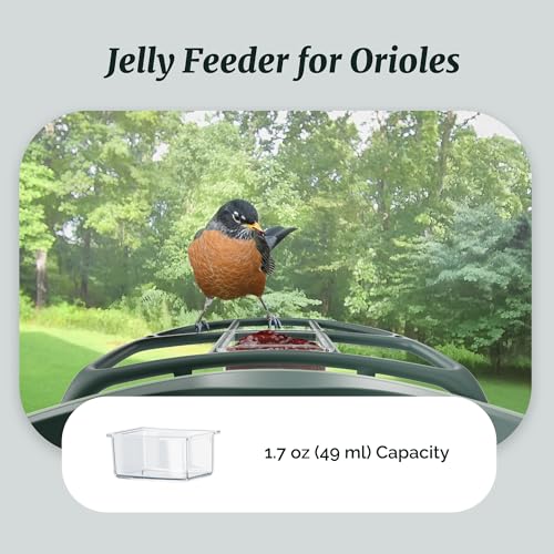 Complete Bird Feeder Accessory Kit DIY Add-Ons Including Mini Hummingbird Feeder, 2 Fruit Holders, Jelly Feeder, Compatible with Kiwibit Smart Bird