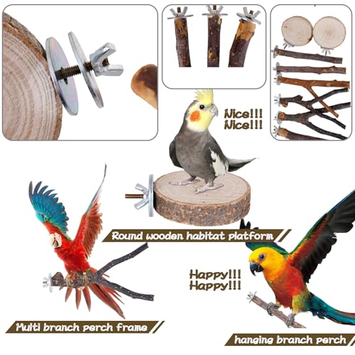 Libiline 8 Pieces Bird Perch Natural Wooden Parrot Perch Stand Fork Toys Hanging Multi-Branch Perches Platform Hammock Swing Toy for Macaws, Small