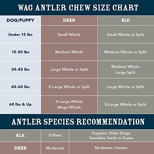 Brand - Wag Split Elk Antler, Naturally Shed, Long Lasting for Aggressive Chewers, Medium (Best for Dogs 15-30 lbs)