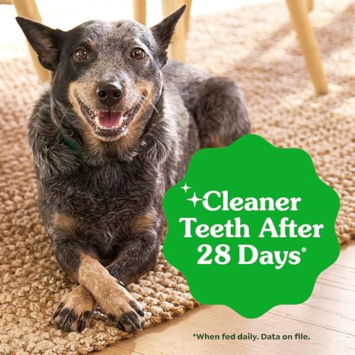 Greenies Veterinarian-Recommended Adult Natural Dental Dog Treats Teenie Size, Dog Dental Chews, Original Flavor, 12 oz. Pack, 43 Count