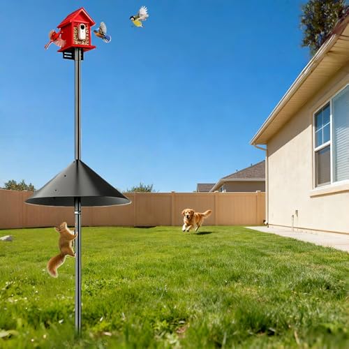 Smart Bird Feeder Pole Stand with Proof Squirrel Baffle - Dia 1 Inch Bird House Pole 79", Feeding Station for Outdoors Heavy Duty, Compatible Post