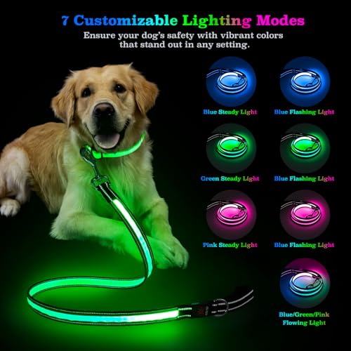 4 Ft LED Dog Leash, Light Up & Lighted Dog Leash, 7 Lighting Modes, Glow in The Dark, Reflective, Double-Sided Light, Rechargeable with Padded Handle