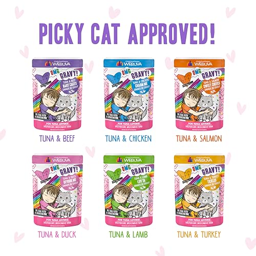 Weruva B.F.F. OMG - Best Feline Friend Oh My Gravy!, Rainbow A Gogo Variety Pack! Cat Food, 3oz Pouch (Pack of 12)