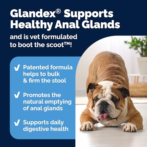 Vetnique Glandex Anal Gland Soft Chew Treats with Pumpkin for Dogs Digestive Enzymes, Probiotics Fiber Supplement for Dogs Boot The Scoot (Peanut