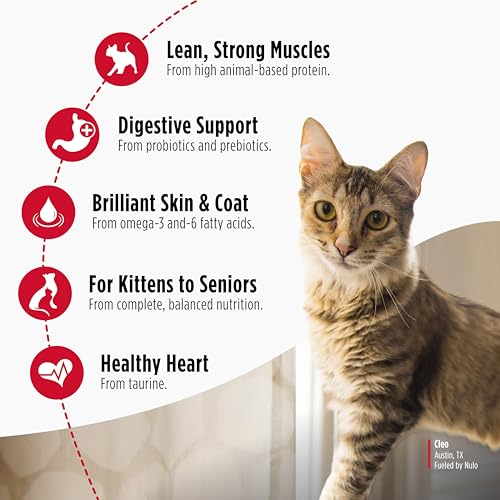 Nulo Freestyle Cat & Kitten Dry Food - Chicken & Cod Recipe, High Protein Grain Free Cat Food, Natural Kibble with Probiotics & Omega Fatty Acids