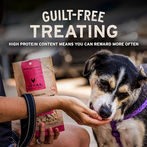 Vital Essentials Freeze Dried Dog Treats | Rabbit Bites, Single Protein | Premium Quality | Grain Free Training Treats for Dogs, 2 oz Bag