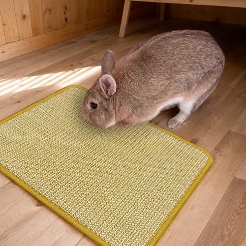 DYAUS Rabbit Scratching Pad, Sisal Bunny Scratch Pad, Natural Rabbit Foraging Mats for Cages, Indoor Bunny Toys Accessories for Bedding Biting