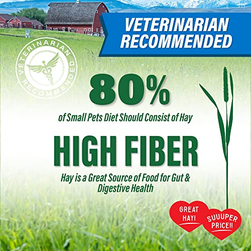 Small Pet Select Value Choice Timothy Hay for Rabbit, Guinea Pig, Bunny, Chinchilla and Other Small Animals, Premium Natural Hay Grown in The US, Pet