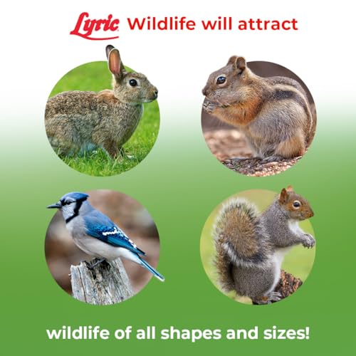 Lyric Wildlife Critter Food for Deer, Squirrels, Turkeys & Rabbits, Wild Bird Seed for Outside Feeders, 10 lb Bag