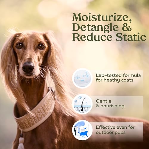 PAWFUME Dog Perfume Spray Long Lasting Scent for Grooming, Show Dog, 1-Pack – Keep Your Pup Fresh All Day – Hypoallergenic, Alcohol-Free, Detangling