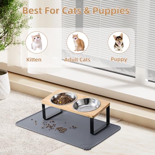 Upgraded Elevated Cat Bowls with Food Mat,15°Tilted Stand Anti Vomiting Raised Cat Dishes for Food and Water,2 Stainless Steel Bowls for Cats and
