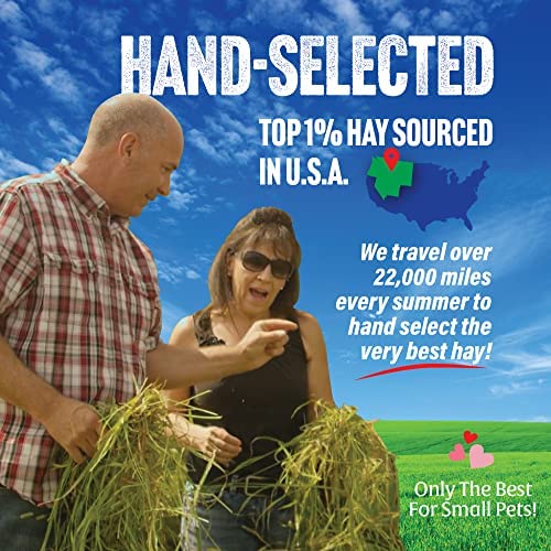 Small Pet Select 2nd Cutting Perfect Blend Timothy Hay Pet Food for Rabbits, Guinea Pigs, Chinchillas and Other Small Animals, Premium Natural Hay