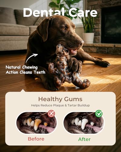 2 Pack Indestructible Dog Chew Toys for Aggressive Chewers: Ultra-Dense Nylon, Bacon Flavor Chew Bones, Heavy Duty Tough Toys for Large Dogs 20-90