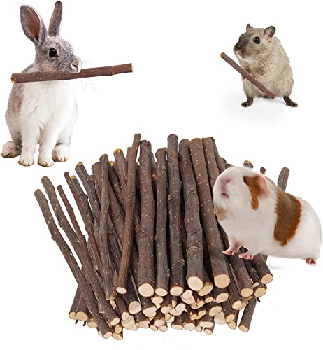 700g Apple Sticks Molar Wood Treats, Rabbit Toys Chinchilla Guinea Pig Bunny Toys Wood Chews Sticks for Teeth Rabbit Food Guinea Pig Hamster Gerbil
