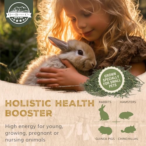 9lb Farm Fresh Alfalfa Hay for Rabbits, Guinea Pigs, Chinchillas, Goats, Hamsters & Ferrets - Organic Small Animal Food Rich in Protein & Fiber