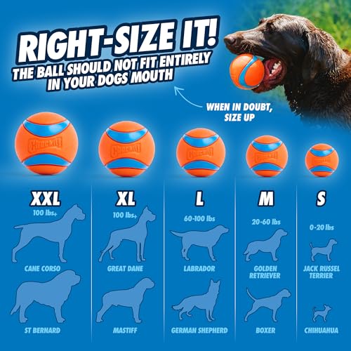 Chuckit! Sport 26L Dog Ball Launcher - Includes a 3-inch Diameter Large Ball for Dogs 60-100 Pounds - Manual Thrower for Dog Balls With a Slim