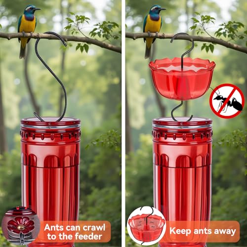 Ant Moat for Hummingbird Feeders, 6 OZ Ant Guard with Large Capacity, Against Ants Hummingbird Feeder Accessory Hooks with Brushes, 2 Pack