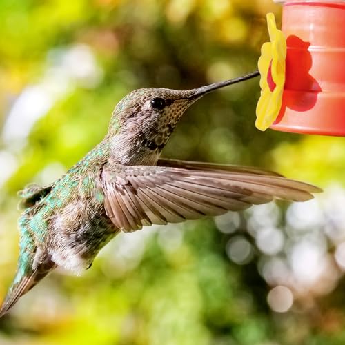 16 Pieces Hummingbird Feeders Replacement Flowers Yellow Pet Replacement Bird Feeder Replacement Parts with 2 PCS Brush Feeding Ports Bee Guards for