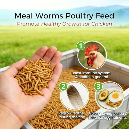 RANZ 2LBS Non-GMO Dried Mealworms for Chickens, High Protein Meal Worms, Premium Chicken Feed, Whole Large Mealworms for Blue Birds, Ducks, Fish
